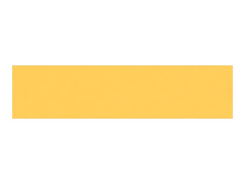 ПЛАСТИНА ИЗНОСНАЯ