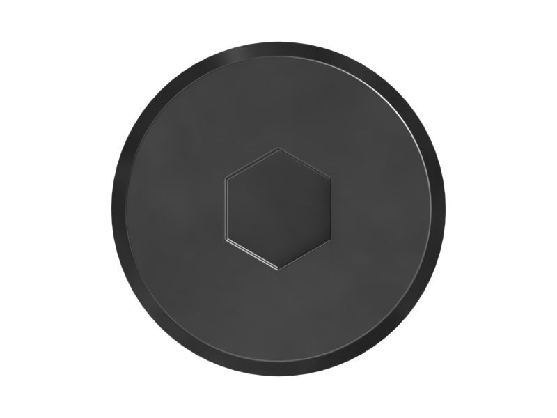 БОЛТ ЗАПЛЕЧИКА