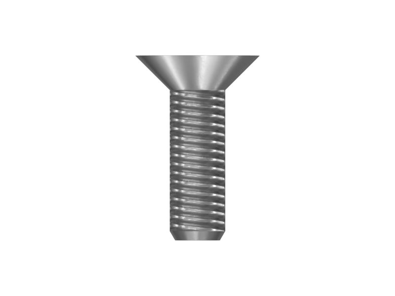Flat Head Screw