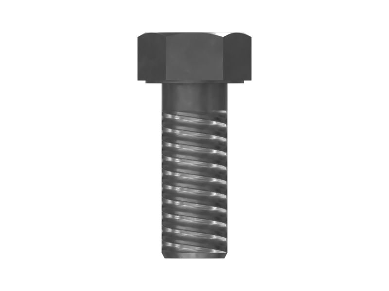 from cat st　10冊 CEESC Large Cat Door, 4-Way Lock, Weatherproof, for Cats