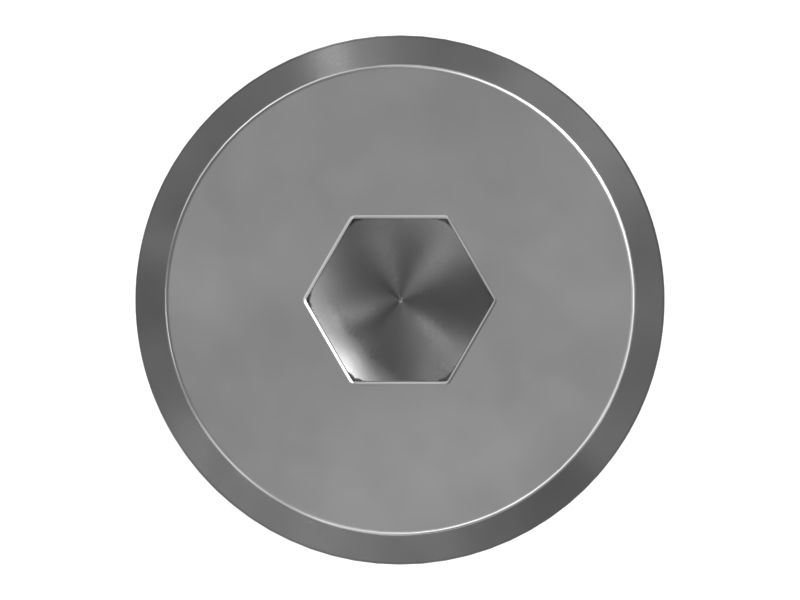 БОЛТ ЗАПЛЕЧИКА