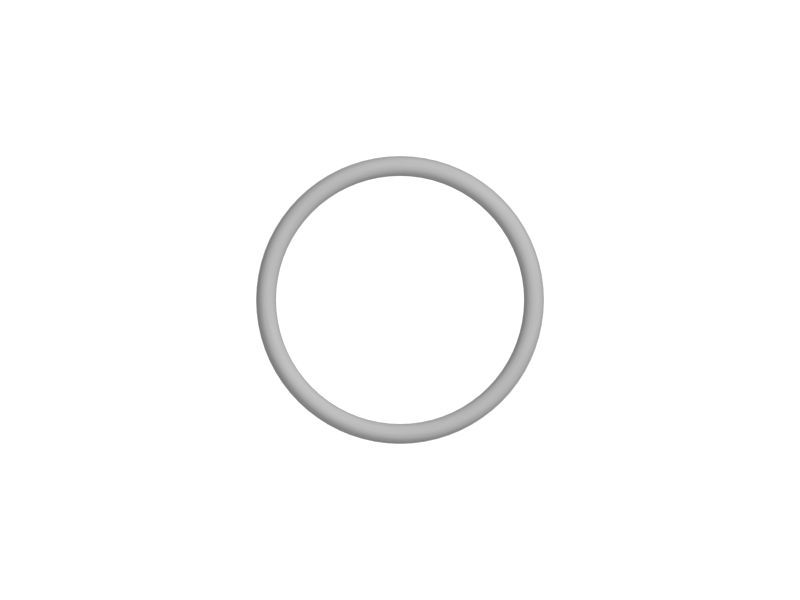 O-Ring