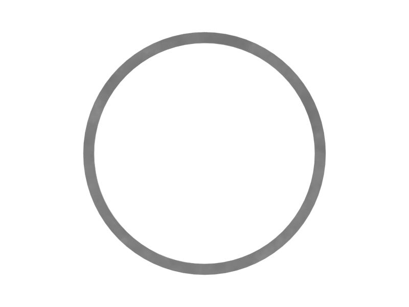 508-1322: RING-DUST 5081322 купить