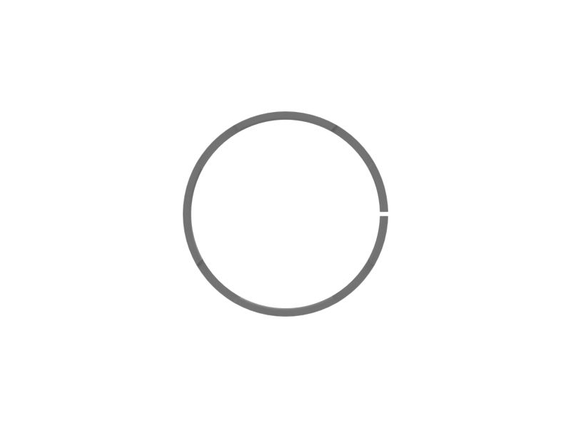 RING-SEAL