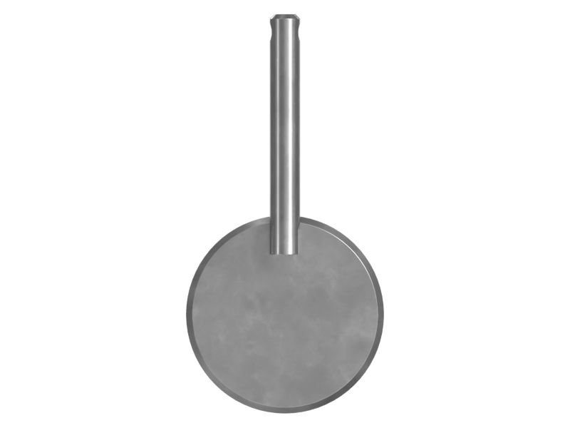 ПАЛЕЦ В СБОРЕ