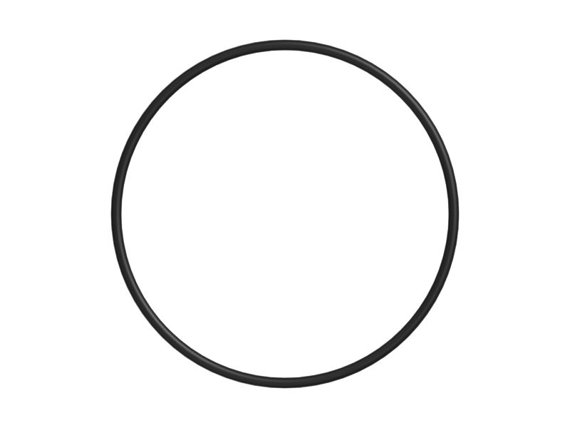 501-9549: O-ring 5019549 купить