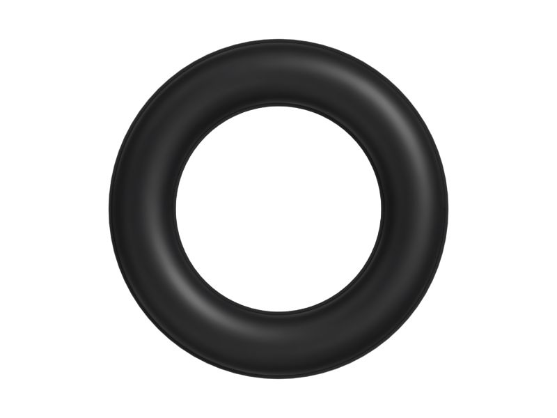 510-2593: O-ring 5102593 buy