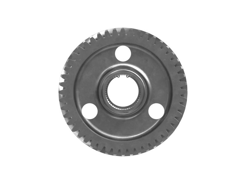 ШЕСТЕРНЯ В СБОРЕ