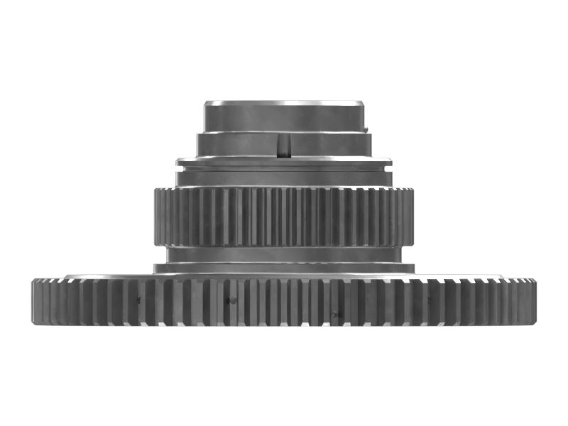 ШЕСТЕРНЯ В СБОРЕ