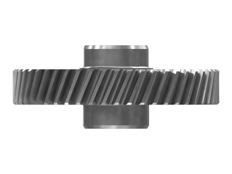 ШЕСТЕРНЯ В СБОРЕ