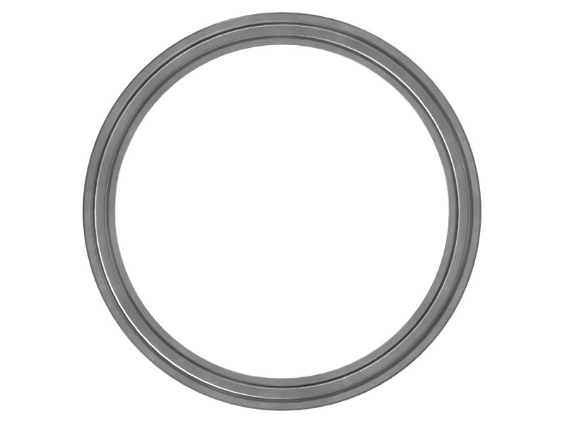 494-1783: SEAL-WIPER 4941783 купить