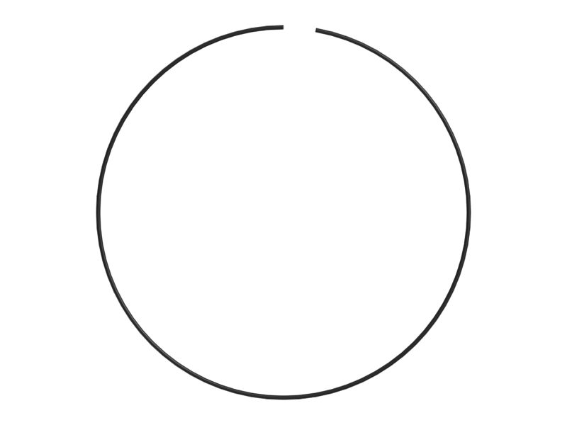 ФИКСАТОР КОЛЬЦА