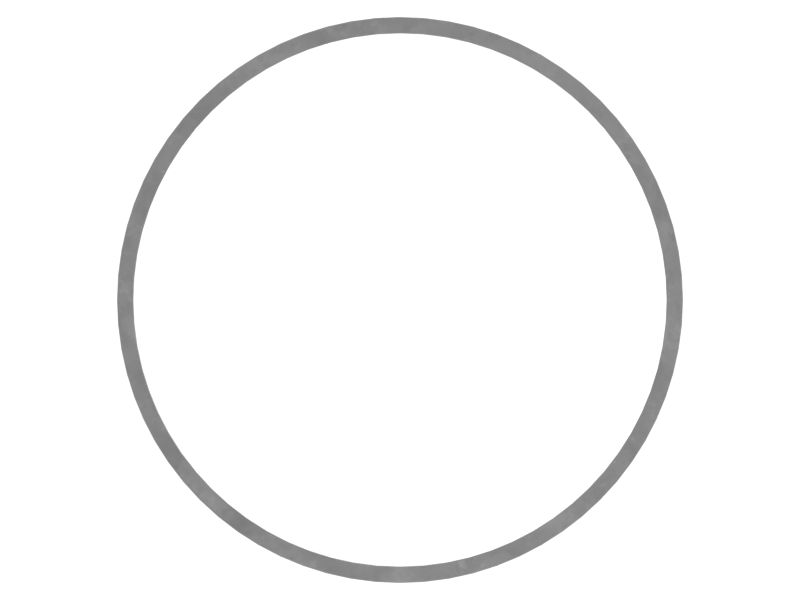 494-1801: RING-BACKUP 4941801 купить