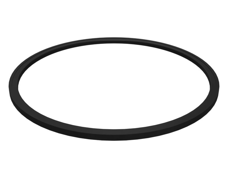 Piston Seal