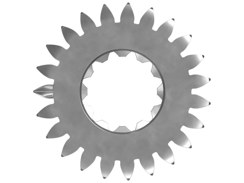 ШЕСТЕРНЯ СКОЛЬЗЯЩАЯ