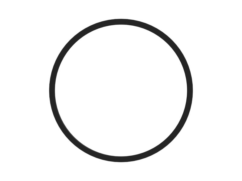 Piston Seal