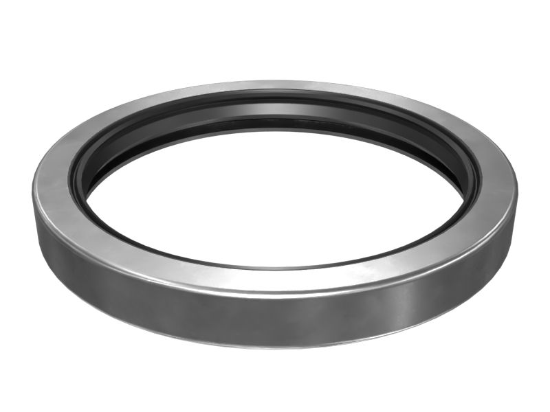 509-0306: SEAL-LIP TYP 5090306 купить