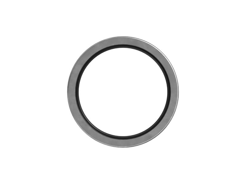 509-0306: SEAL-LIP TYP 5090306 купить