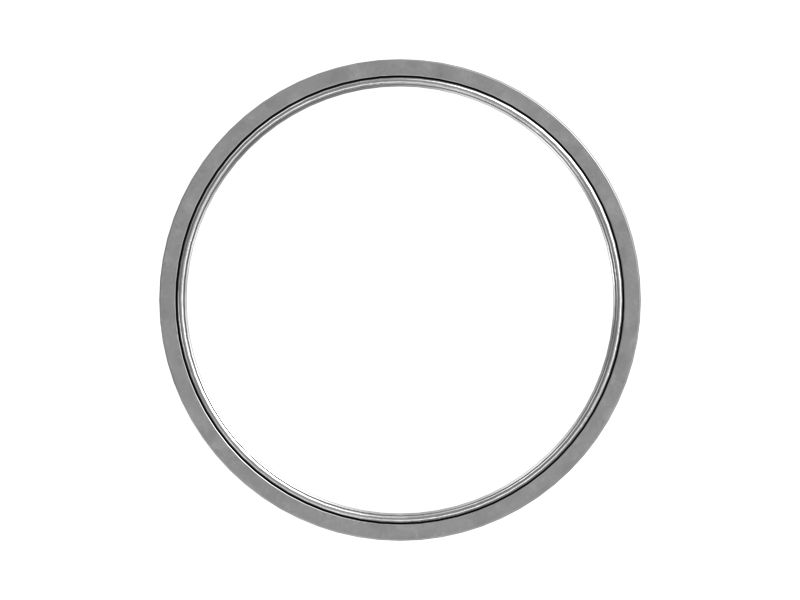 509-1195: SEAL-LIP TYP 5091195 купить