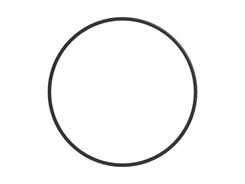 235-5872: 3.53mm Thick D-Ring Seal | CATCorp