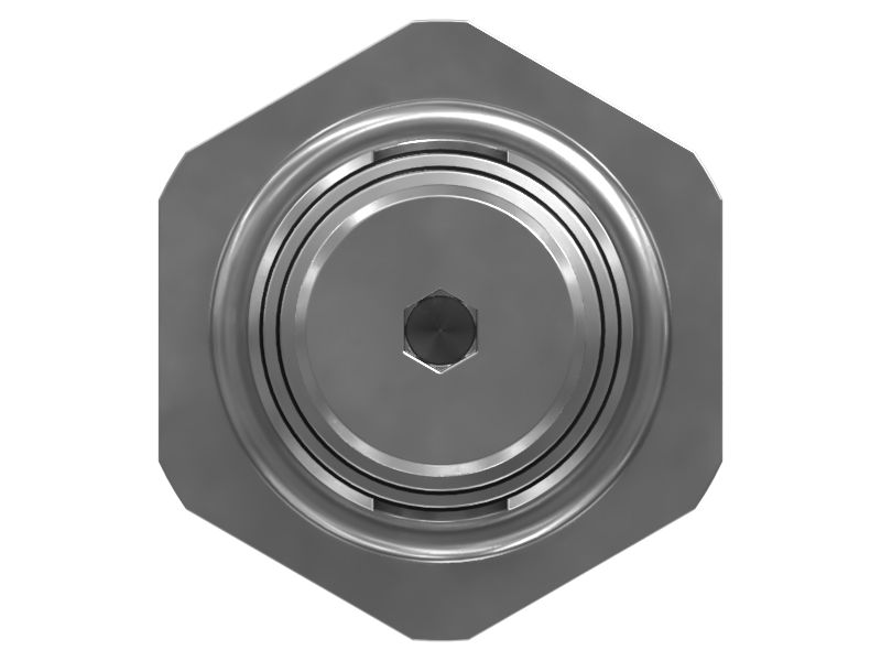 СЕРДЦЕВИНА В СБОРЕ