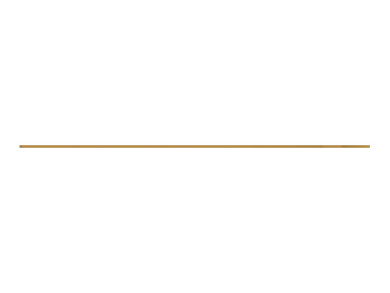 ПЛАСТИНА ИЗНОСНАЯ