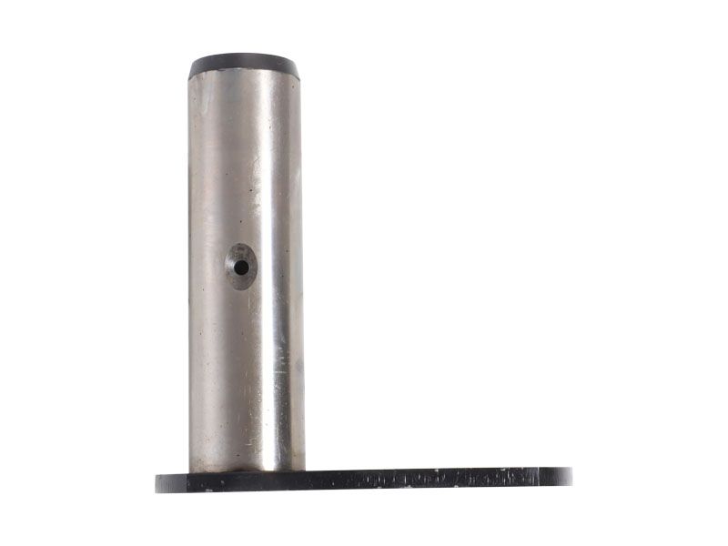 ПАЛЕЦ В СБОРЕ