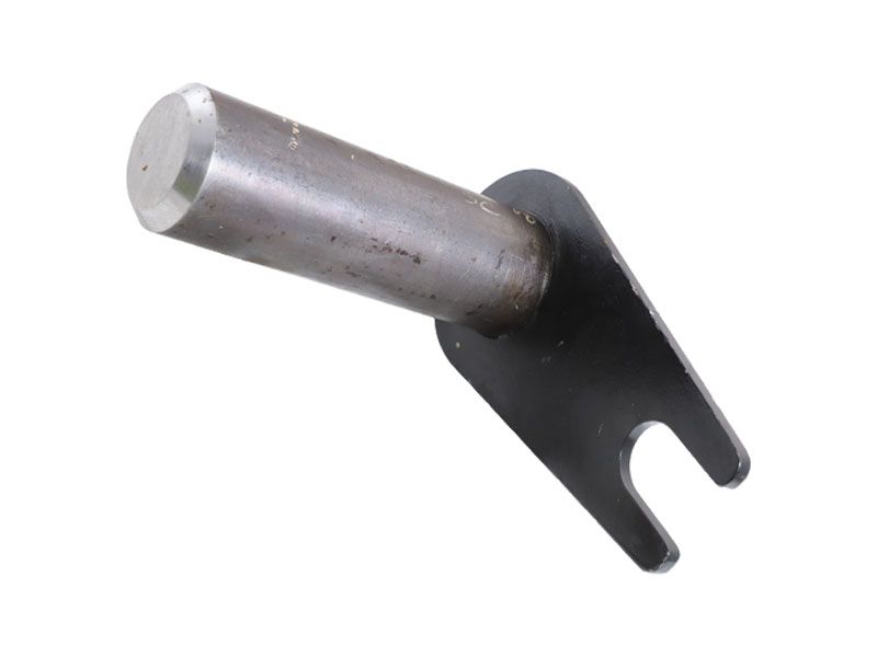 ПАЛЕЦ В СБОРЕ