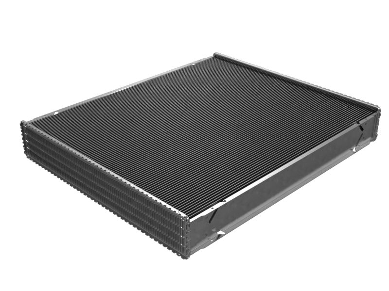 СЕРДЕЧНИК РД