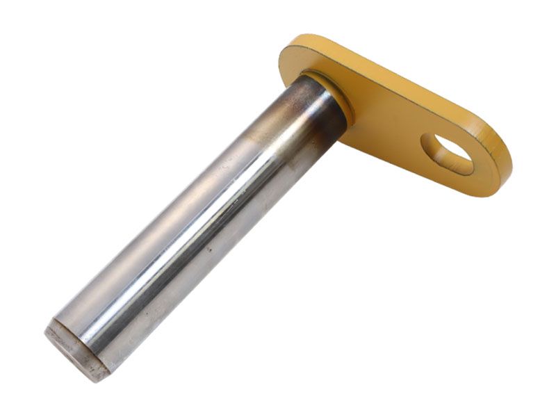 ПАЛЕЦ В СБОРЕ