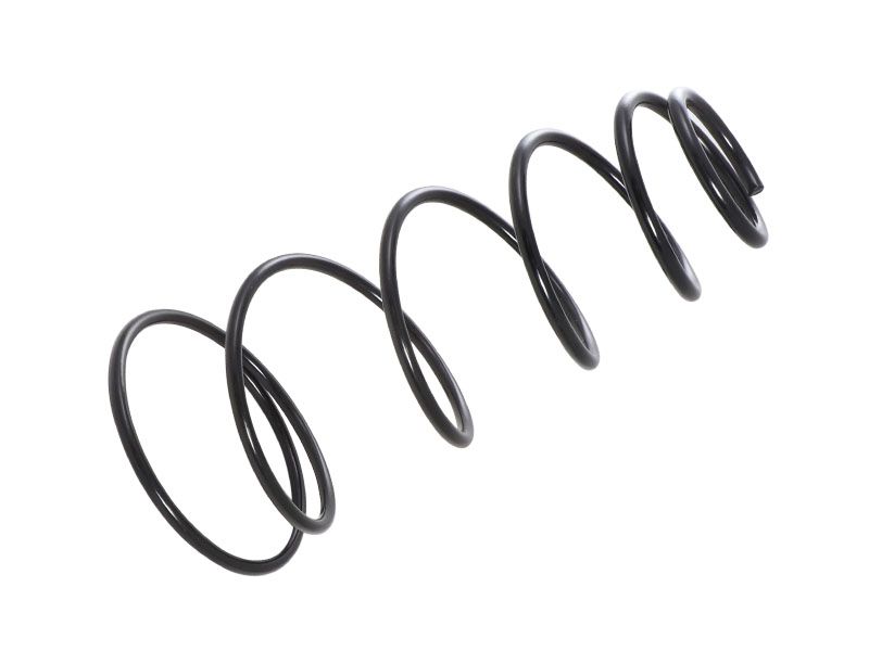 6G-1336: ПРУЖИНА