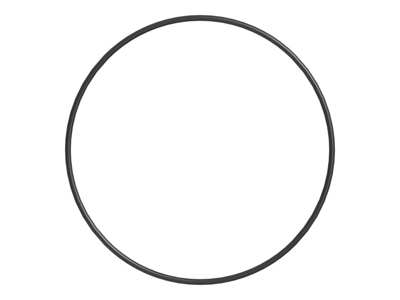 Уплотнительное кольцо с внутренним диаметром 310,13 мм