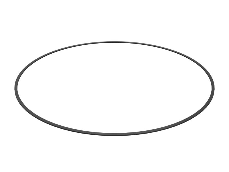 121-4161: 312,40 mm inre diameter ring