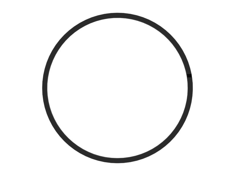 Направляющее кольцо поршня наружного диаметра 100 мм