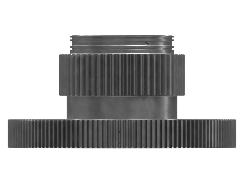 ШЕСТЕРНЯ СОЛНЕЧНАЯ В СБОРЕ