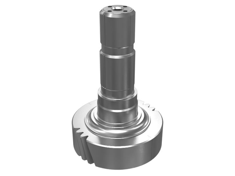 6G-2596: ШЕСТЕРНЯ