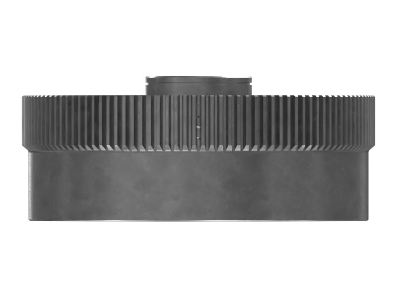 ШЕСТЕРНЯ ВЕНЦОВАЯ В СБОРЕ