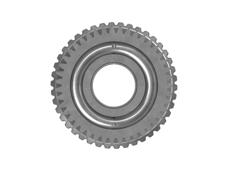 ШЕСТЕРНЯ В СБОРЕ