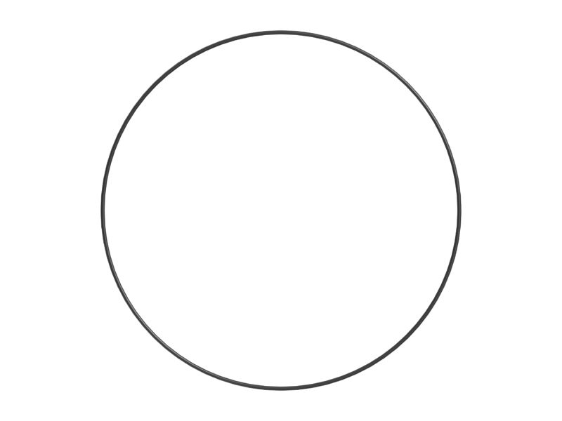 Уплотнительное кольцо, внутренний диаметр 917,58 мм