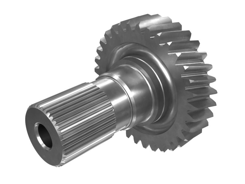 ШЕСТЕРНЯ В СБОРЕ