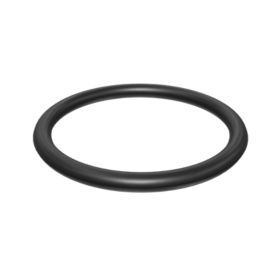 099-8232: 28.24mm Inner Diameter O-Ring Seal