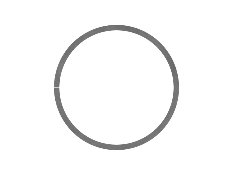 Piston Ring