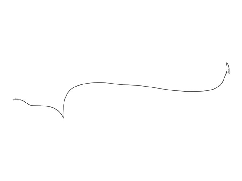 Cable Assembly-Chassis