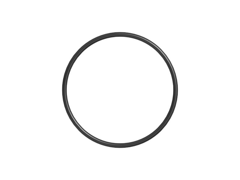 Уплотнительное кольцо, внутренний диаметр 158,12 мм