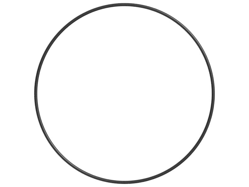 Уплотнительное кольцо с внутренним диаметром 202,79 мм