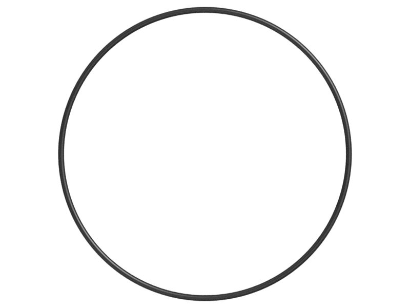 Уплотнительное кольцо с внутренним диаметром 171,04 мм