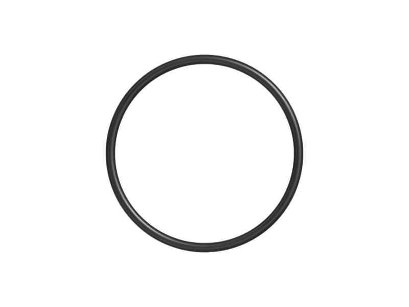 Уплотнительное кольцо с внутренним диаметром 100,97 мм