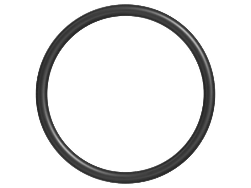 166-2904: 2.62 x 34.59mm 80A TFEP O-Ring | Cat® Parts Store