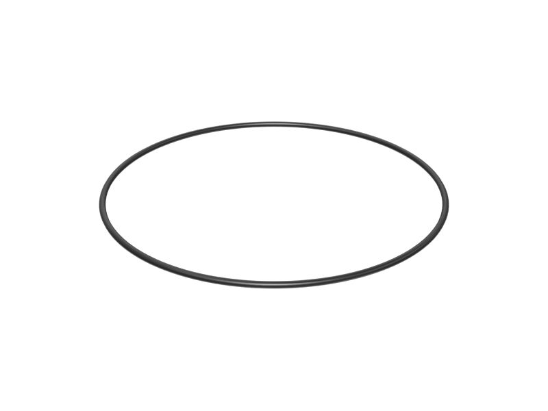 Уплотнительное кольцо с внутренним диаметром 190,09 мм