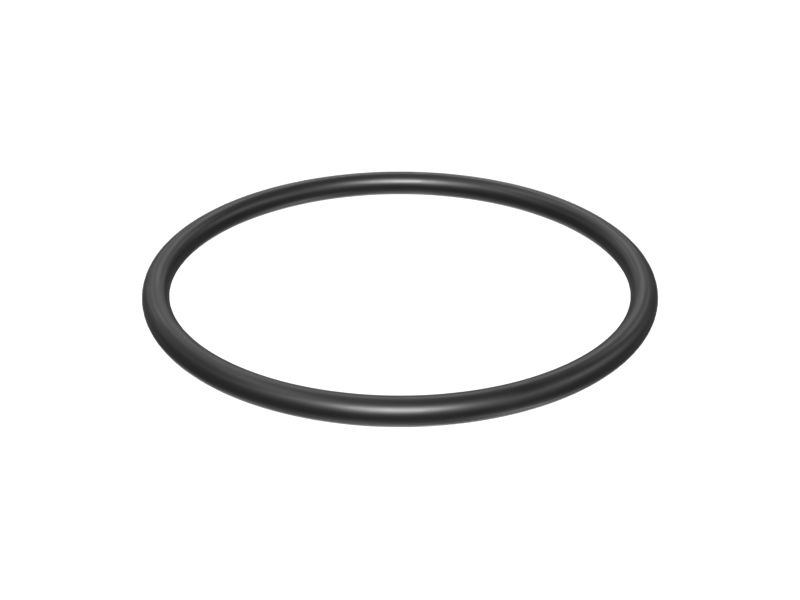 8C-0563: Těsnící O-kroužek o vnitřním průměru 31,47 mm